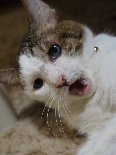 「ママも晴君もありがとう～」