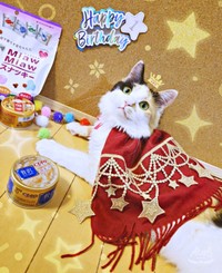 1歳を迎え、お祝いをしてもらうみこちゃん（画像提供：方原 刺繍屋かたはらさん）