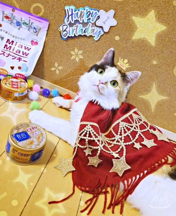 1歳を迎え、お祝いをしてもらうみこちゃん（画像提供：方原 刺繍屋かたはらさん）