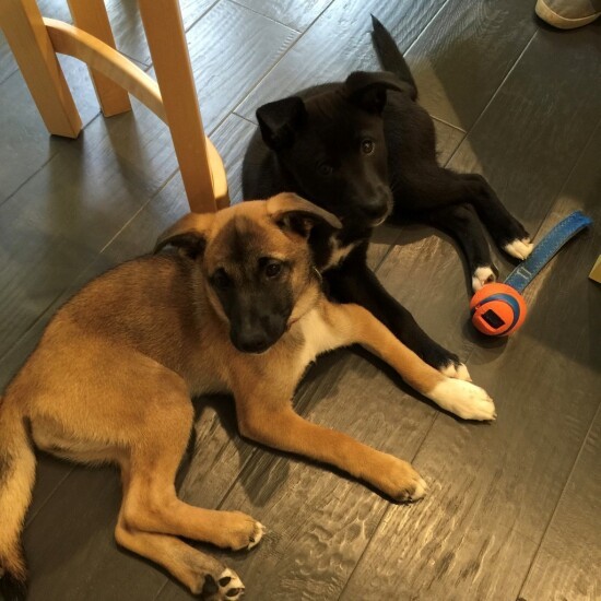 本当に仲良しでいつも一緒に遊んでいた