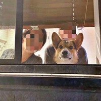 ママが仕事から帰るとーーニコくんらがお出迎え（画像提供：nicoさん）