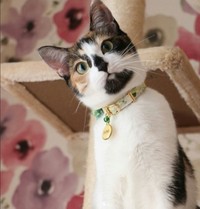 今ではすっかり人慣れした、わたあめちゃん