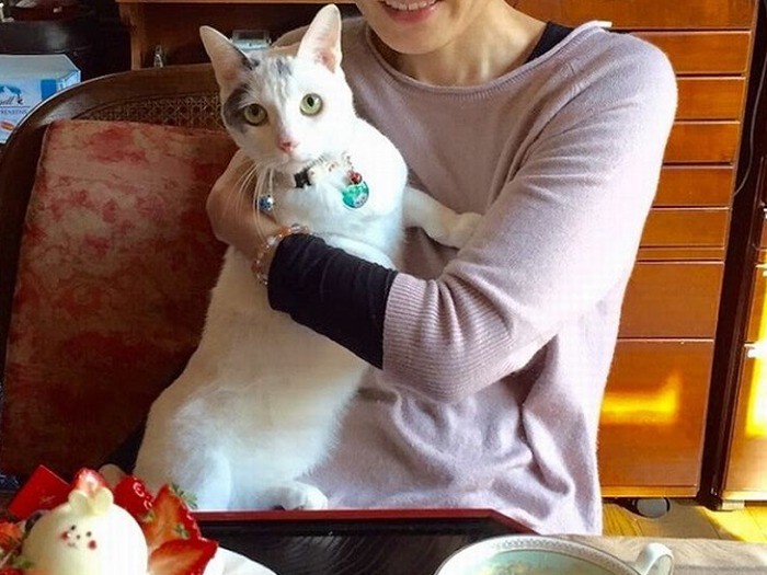 わあ～、僕の顔にそっくりの子が！