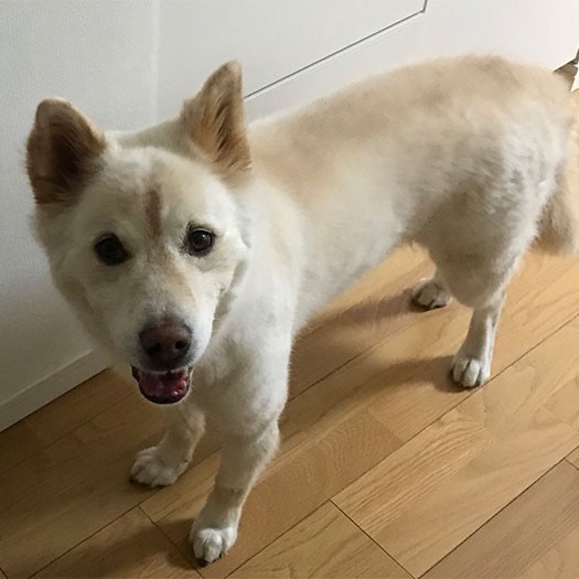 大好きなおやつ待ち