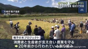 消費者と生産者が交流　鳴子の米プロジェクト　２０年目の稲刈り交流会