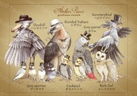 人気の高い堀さんの鳥イラスト（堀ようこさん提供）