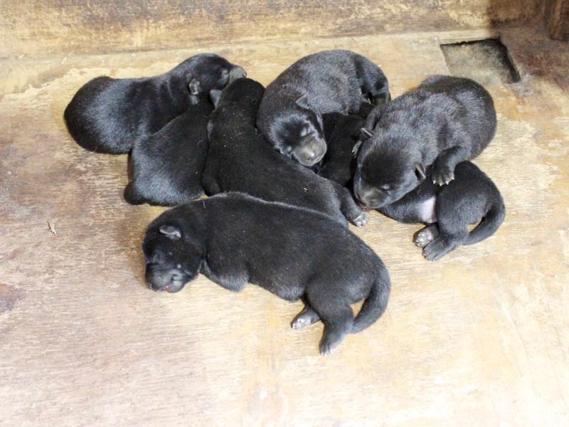 寝相にも個性が現れている