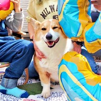 弟たちの誕生日会に参加し笑顔のどんちゃん（画像提供：むへむへさん）