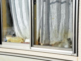 住民の死後も複数の猫残される　復興住宅明け渡し求め提訴へ