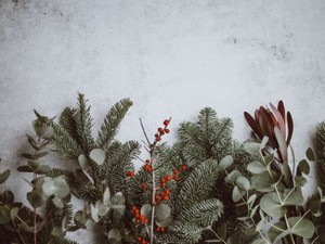 「もう俺の人生に関わらないで」と言われた私。付き合うって何ですか？