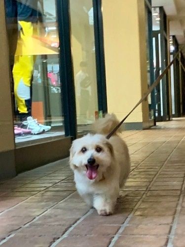 今は賑やかな場も大好き！