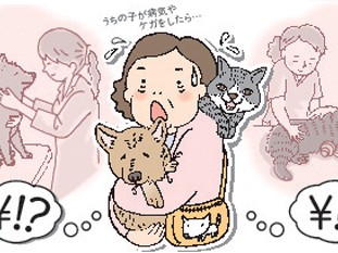 ペット保険、比べて賢く選ぼう　持病の有無などで判断を