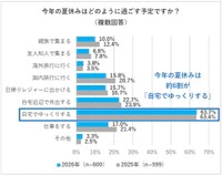 今年の夏休みはどのように過ごす予定か（提供画像）