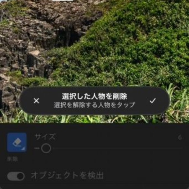 AI機能「人物を削除」を使用（宮田森さん提供）