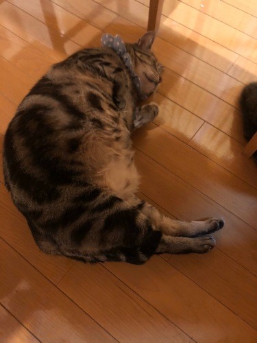 気持ちいいなあ