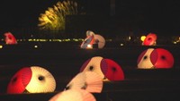 秋の幻想庭園　試験点灯（岡山後楽園　11月17日夜）