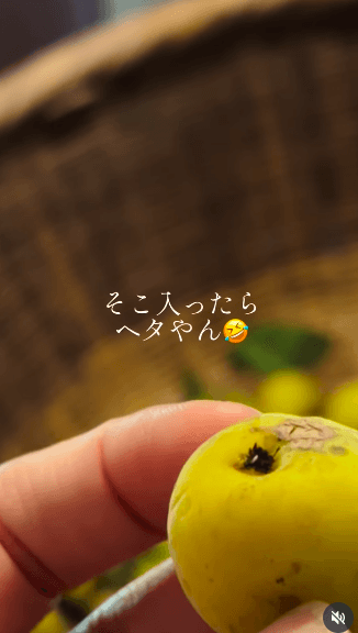 一瞬で梅のヘタにも変身できるところが、またチャーミングで愛おしくなりますね(提供：さとこさん)