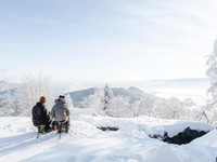 自分をロボットのようだと思っていた私が接客業の魅力に気づいた理由