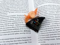 「ママ、今日もお勉強いくの？これあげるから、がんばってね。」と4歳の娘さんがくれたお菓子（むぎナスさんのXより）