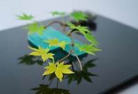 野田さんが作った「盆景菓子」。季節や自然の美しさを和菓子で立体的に表現する（野田さん提供）