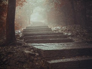 「かわいそうな自分」は生きている証。被害妄想とはおさらばしたい