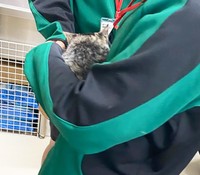 動物愛護センターにて。犬猫にまつわる、悲しい現実を職員さんから聞きました