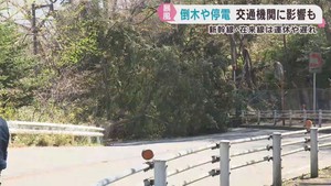 宮城県内暴風で倒木や停電　交通機関に乱れも