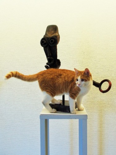 紋次郎は、シャンティーと一緒に捨てられていた子。