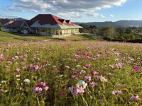 提供：ひるぜんジャージーランド