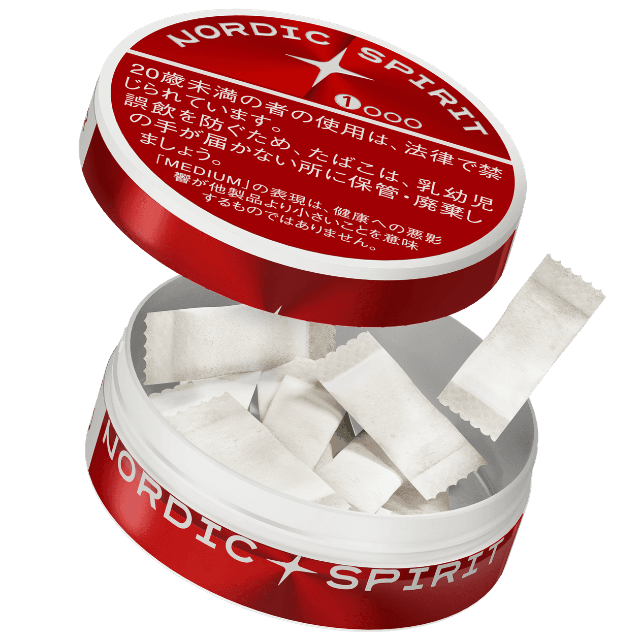 ノルディックスピリット