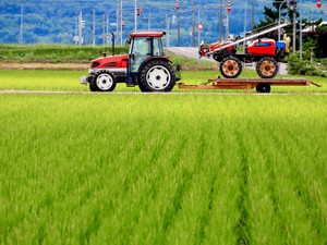 相続した農地の名義変更に必要な手続きは？　その後の活用方法や注意点も解説