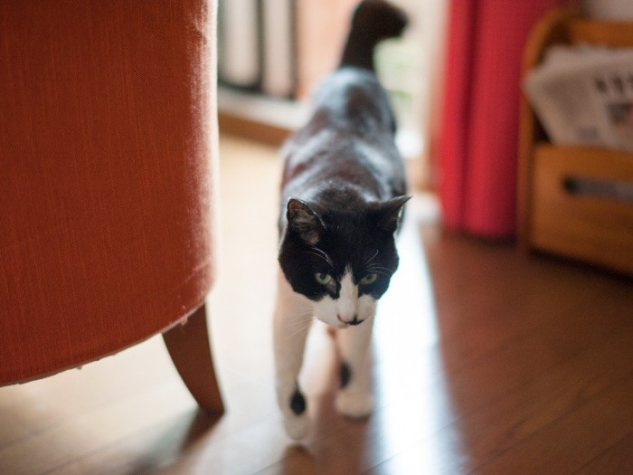 「おばちゃんは手を洗わなくても風邪ひかないけど、良い子はまねしないように」（小林写函撮影）