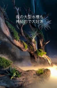 「夜の大型水槽も神秘的で大好き」／ikkiさん（@ikki1219）提供
