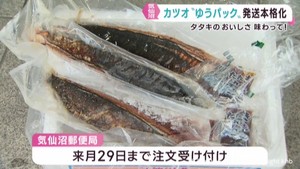 生鮮カツオ水揚げ２８年連続日本一の宮城・気仙沼市　カツオのたたきのゆうパック発送が本格化