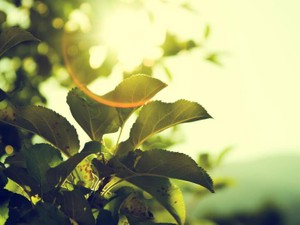 「トキメキが増えれば、諦めが減る」。心にグサリと刺さり、涙が出た