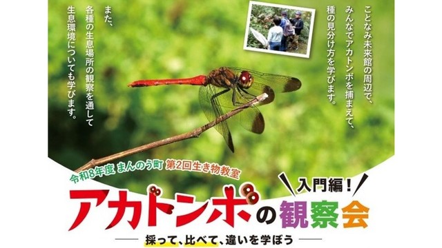 秋の風物詩・アカトンボの観察会　参加者募集中