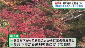 宮城・鳴子峡で紅葉が始まる　旅行関係者が期待を寄せる