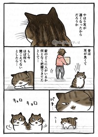 【漫画】『老猫が大声で鳴く理由』3（C）卯月よう