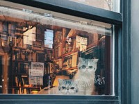 「自粛」の日々で見えた私たちのこと。新型コロナのエッセイ５選【2020年振り返り】