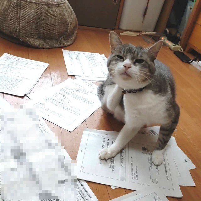 まとめておいた書類をわざわざ散らかす諭吉