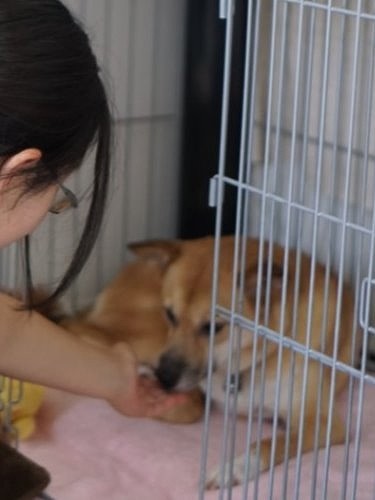 可奈さんからおやつをもらって