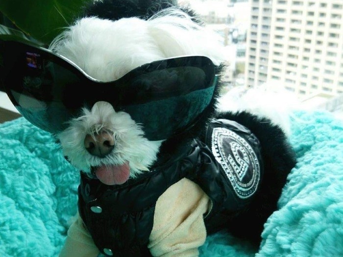 「かっこいい？」　（提供写真）