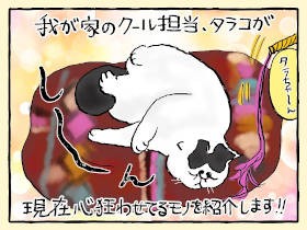 お掃除ロボ「ルンモドキ」vs愛猫「タラコ」　猫パンチの応酬にはばまれ、苦難の日々