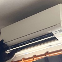 クロネコヤマトの新サービスかな？（画像提供：縦横幅さん）