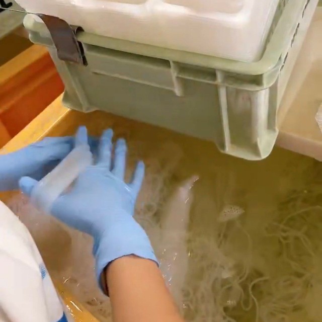 一瞬で手に巻きつけて結びあげる職人技／佐藤商店（@Satoshoten_Yufu）提供