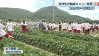 木下農園　坂出市神谷町