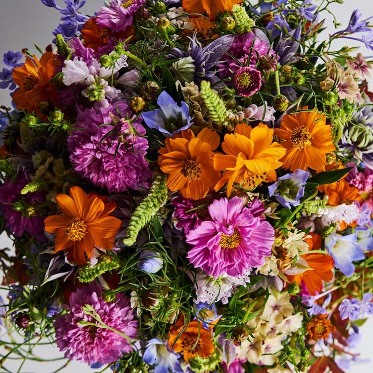 赤毛のアンの「世界一美しい島」へ カナダのプリンス・エドワード島