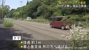 軽トラックとクマが衝突　けが人無し　クマは林に逃げる　仙台・泉区