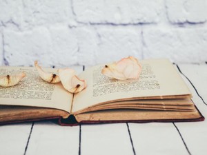 愛を文で紡ぐ。覚えていなくたって、母のことはいくらでも書ける