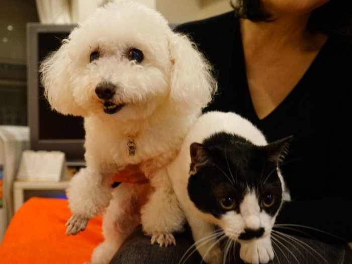 山田さんに抱かれるラナと「びみゃあ」　（庄辛琪　撮影）